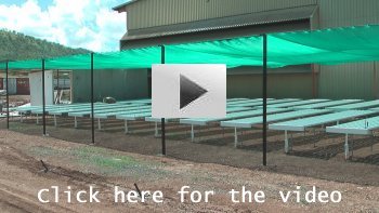 NFT Hydroponics in Papua New Guinea